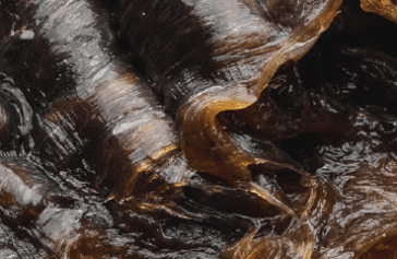 Moroccan Black soap wholesale