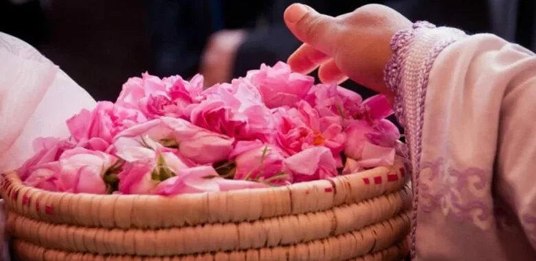 The Magic of Moroccan Rose Water in Organic Skincare